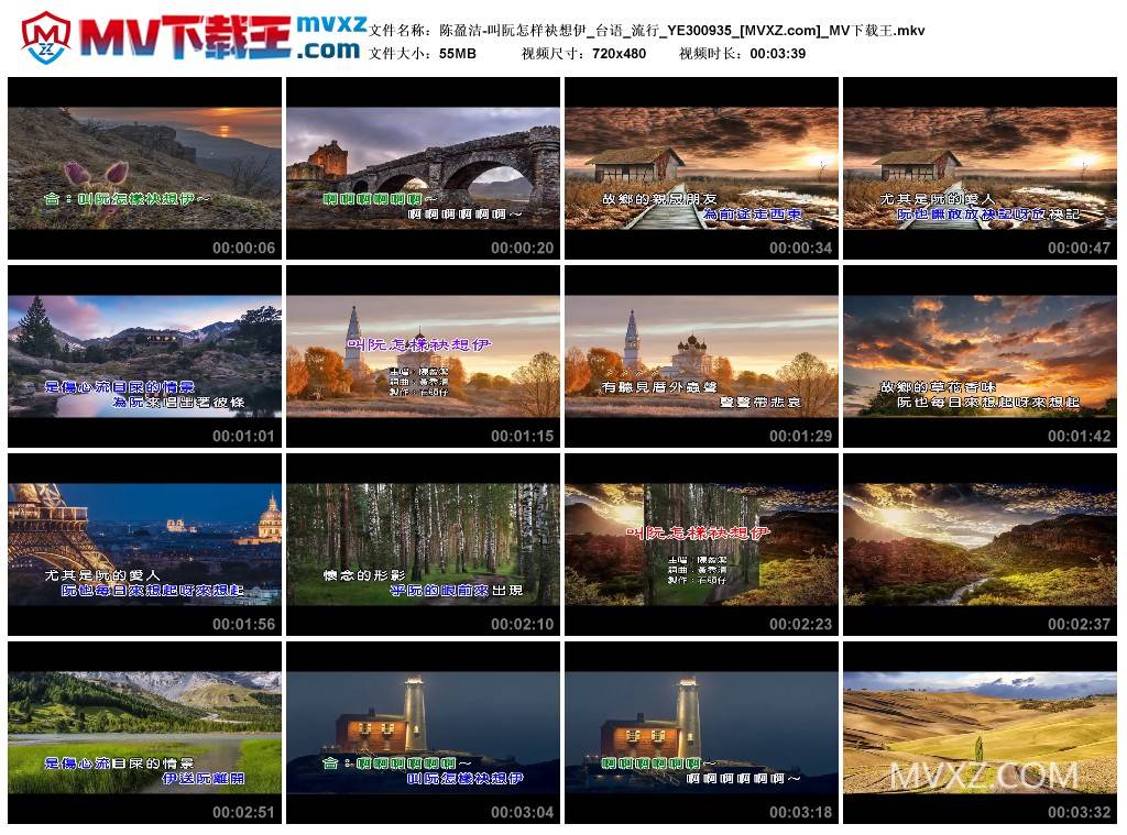 陈盈洁-叫阮怎样袂想伊_台语_流行_YE300935